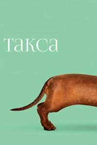  Такса (2016)